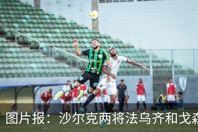 图片报：沙尔克两将法乌齐&戈森斯严重撞伤，将缺席杯赛